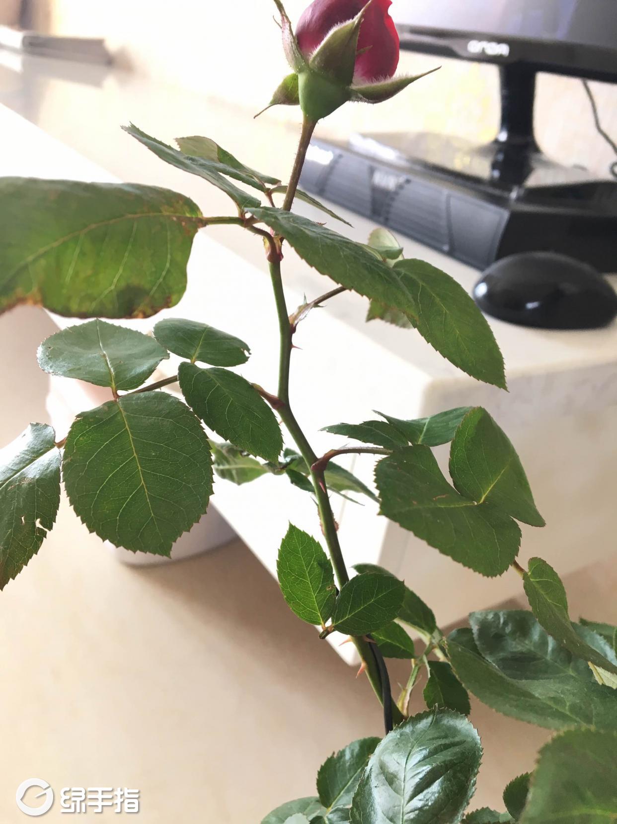 拀Kg*?9皺砋?2鋅菪B趛??的简单介绍